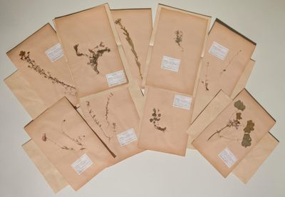 six enveloppes de pressé pressé pressé pressé pressé pressé pressé pressé pressé pressé pressé pressé pressé pressé pressé pressé pressé pressé pressé pressé pressé pressé pressé pressé pressé pressé pressé pressé pressé pressé pressé pressé pressé pressé pressé pressé pressé pressé pressé pressé pressé pressé pressé pressé pressé pressé pressé pressé pressé pressé pressé pressé pressé pressé pressé pressé pressé pressé pressé pressé pressé pressé pressé pressé pressé pressé pressé pressé pressé pressé pressé pressé pressé pressé pressé pressé pressé pressé pressé pressé pressé pressé pressé pressé pressé press