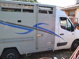 a white truck with a blue stripe on the side of it