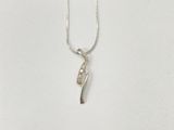 a silver necklace with a fish charm hanging from it ' s neck