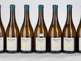 six bouteilles de vin sont alignées sur une surface blanche