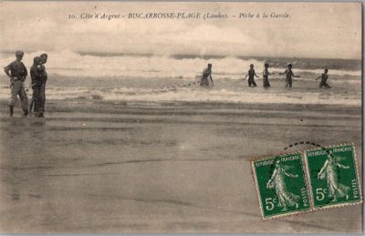 une carte postale représentant un groupe de personnes sur la plage