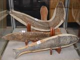trois espèces différentes de poissons exposées dans une vitrine en verre