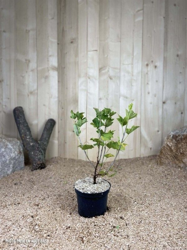 Destockage & Invendus