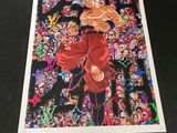 L'affiche de Dragon Ball est exposée dans une vitrine.