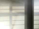 un chat assis par terre devant une fenêtre