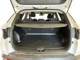 the back of a car with the trunk open showing the cargo area