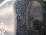 a spider that is sitting on the side of a window