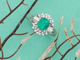 une bague sertie d'une émeraude et de diamants, posée sur une branche d'arbre