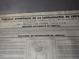 a newspaper with a drawing of a horse on it