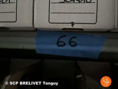 UNE ETAGERE DE PIECES AMAZONE CONTENANT PLUS DE 85 REFERENCES - Photo 1