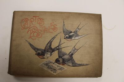 deux oiseaux perchés sur une boîte