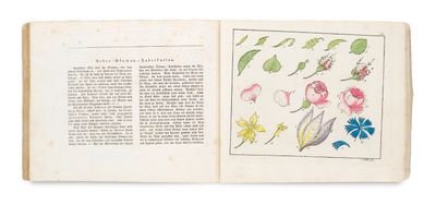 un livre ouvert sur lequel est dessiné un motif de fleurs et de feuilles