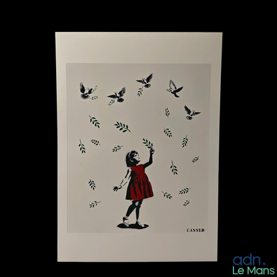 un dessin représentant une fillette en robe rouge entourée d'oiseaux