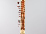 a close up of a musical instrument on a white surface