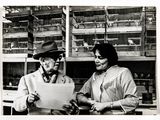 black and white photograph of a man and a woman looking at a piece of paper
