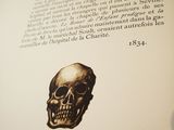 a picture of a skull on the inside of a book