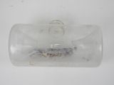 a picture of a glass bottle with a small fish inside of it