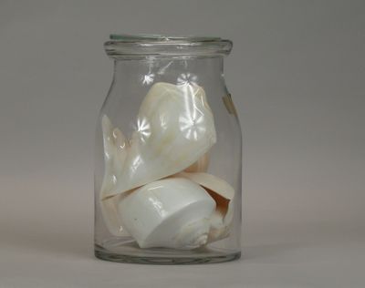 a glass jar with shells in it on a table