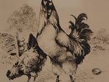 a drawing of a rooster and a chicken in a field