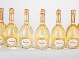 six bouteilles de vin blanc alignées sur une surface blanche