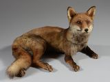 un renard en peluche assis par terre