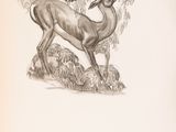 drawing of an antelope standing on a rock in a forest