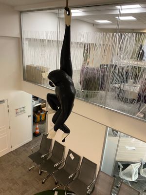a statue of a monkey hanging from the ceiling