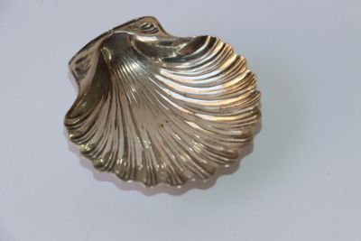 un objet argenté en forme de coquille posé sur une surface blanche