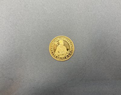 gros plan d'une pièce d'or sur une surface grise