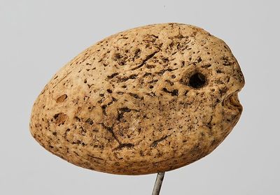 a rock on a stick with a hole in it