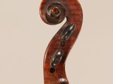 a close up of the back of a violin with a scroll