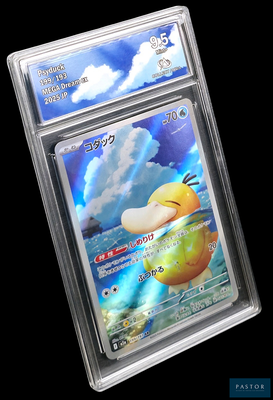 une carte Pokémon dans un étui en plastique transparent