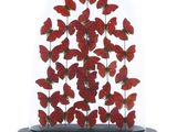 un gros plan sur une cloche en verre contenant un bouquet de fleurs rouges