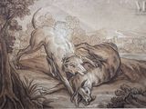 un dessin représentant un chien poursuivant un lion au sol