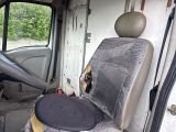a dog sitting in the driver seat of a truck