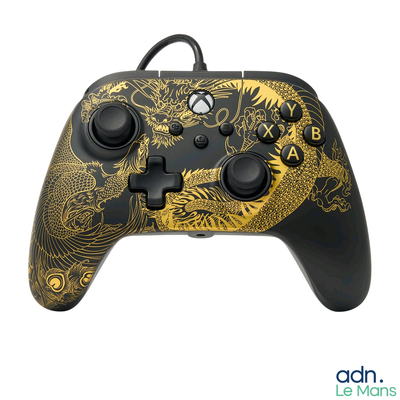 un gros plan d'une manette sur laquelle figure un dragon