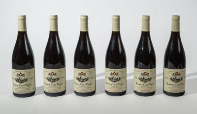 6B - BEAUNE CENT-VIGNES (1er Cru) - Christophe Pont - 2019