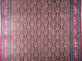 an antique persian rug with a red and blue border