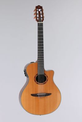 gros plan d'une guitare sur fond blanc