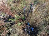 de nombreuses bouteilles d'eau posées dans l'herbe au bord de la route