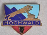 a close up of a badge with a dog on it