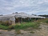 une photo montrant une rangée de serres dans un champ