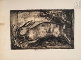 an image of a drawing of a rabbit in a field