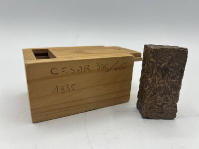 un gros plan sur un morceau de bois à côté d'un rocher