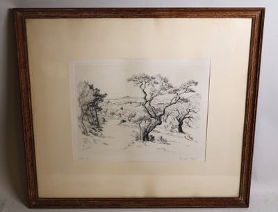 une image représentant un dessin d'arbre dans un cadre en bois