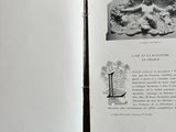 deux pages d'un livre sur lesquelles figure l'image d'un chat