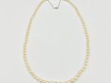 a white pearl necklace with a silver clasp on a white background
