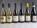 plusieurs bouteilles de vin sont alignées sur une table