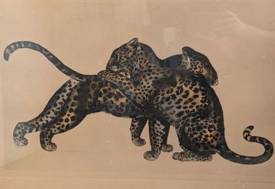 une photo de deux léopards qui s'étreignent