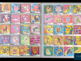 many cards in a clear case on the table